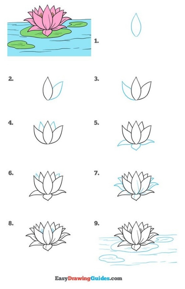 How to draw Lotus Flower step by step easy 💮 Lotus Drawing - YouTube